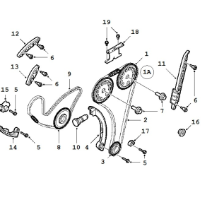 Timing Chain