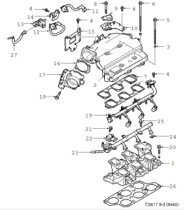 C3517.webp