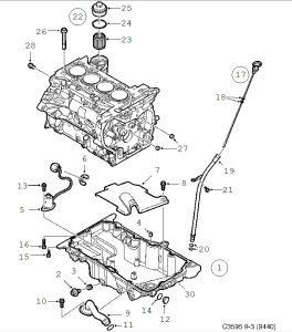 C3595.webp