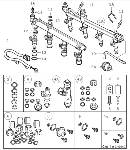 C3613.webp