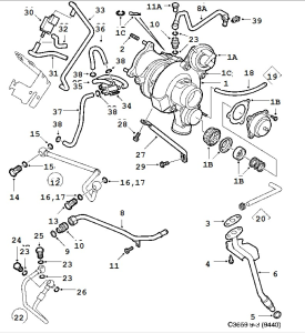 C3659.webp
