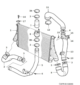 C3675.webp