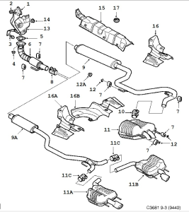 C3681.webp