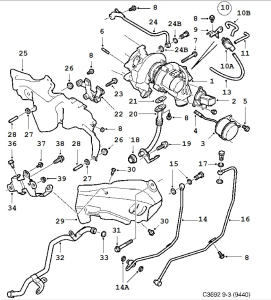 C3692.webp