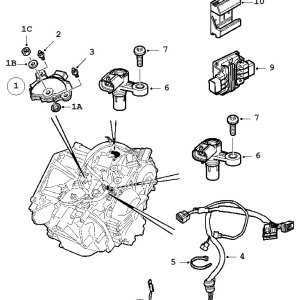 Transmission Automatic