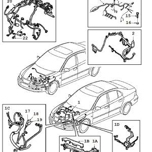 Wiring: Engine & Trans