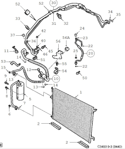 c3493.webp
