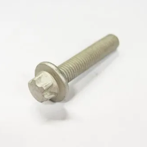 Hexagon Screw