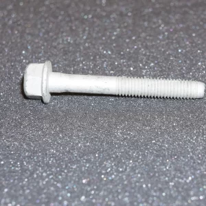 Hexagon Screw