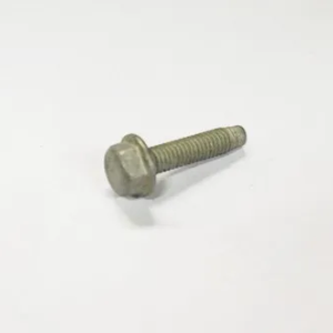 Hexagon Screw