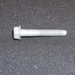 Hexagon Screw