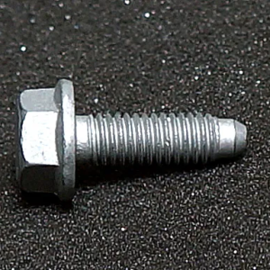 Hexagon Screw