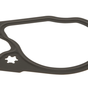 Gasket - Thermostat (B284)
