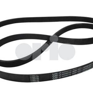 Serpentine Belt (2.8T V6 9-3)