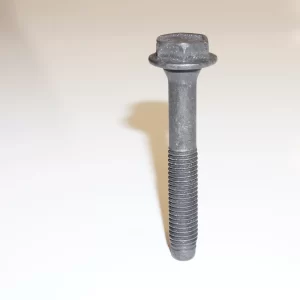 Special Screw