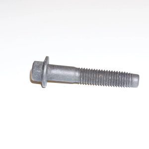 Hexagon Screw