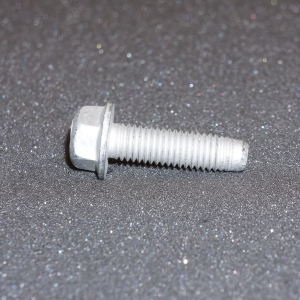 Hexagon Screw