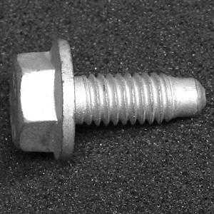 Hexagon Screw