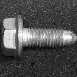 Hexagon Screw