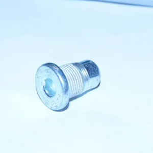 Lock Plug