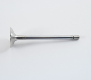 Exhaust Valve