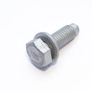 Hexagon Screw