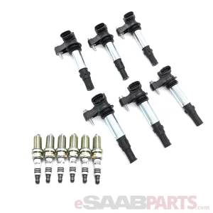 Ignition Coil and Spark Plug Kit (B284 2006-2009) NGK LFR6AIX